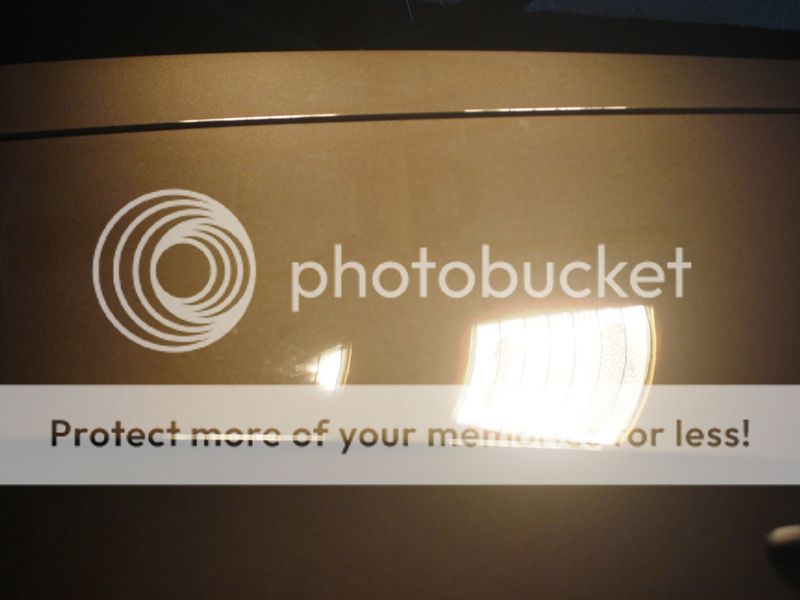 DSC08411_zpsdadf1a9d.jpg