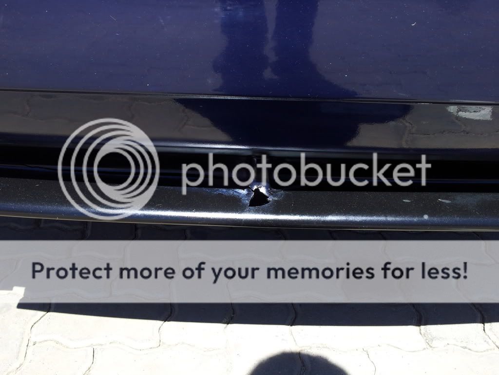 20120303_104906-1.jpg